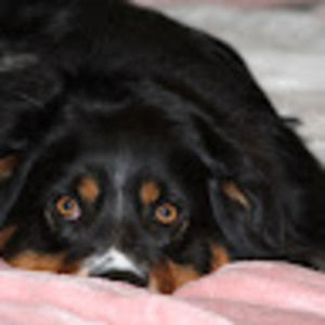 Meet your Posher, Jen and jan